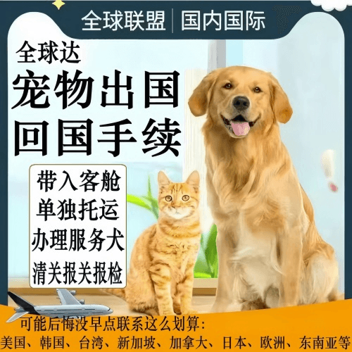 1733120105722.png