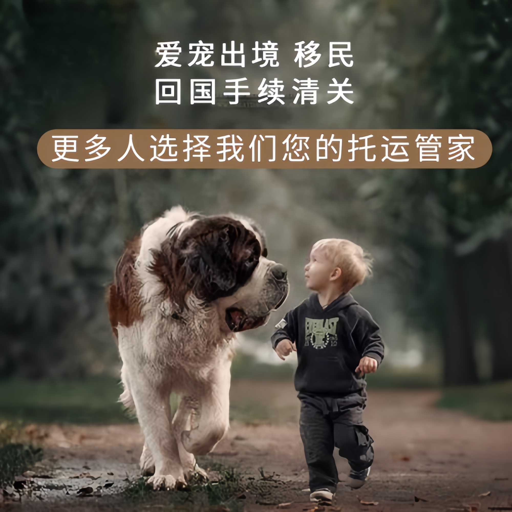 满财营口市宠物全球达宠物托运在遵守入境目的地政策的条件