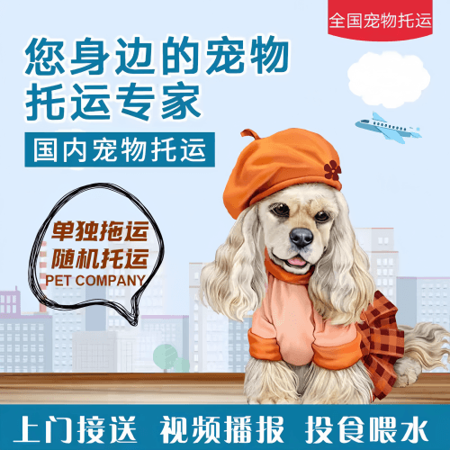 满财营口市宠物全球达宠物托运作为专业的宠物运输代理机构